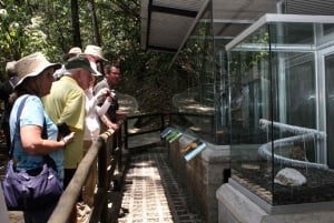 San Josesta: Braulio Carillon kansallispuiston sademetsäraitiovaunu