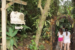 Depuis San Jose : Tramway de la forêt tropicale du parc national Braulio Carillo