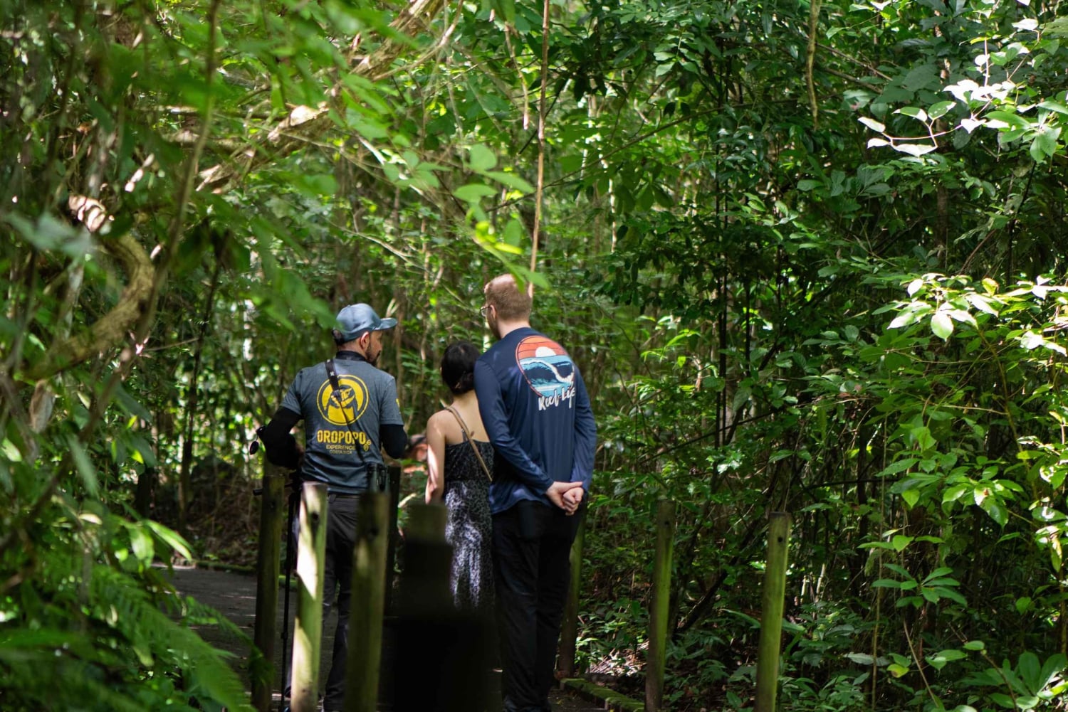 Vanuit San José: Nationaal Park Carara en Tárcoles Rivier Tour