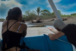 From San José: Carara National Park and Tárcoles River Tour