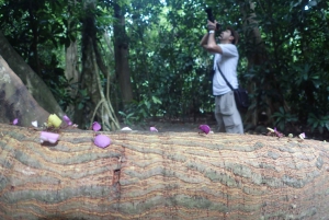 From San José: Carara National Park and Tárcoles River Tour