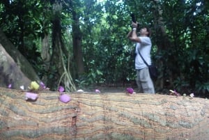 From San José: Carara National Park and Tárcoles River Tour