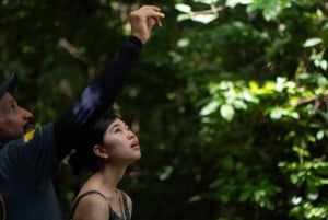 Vanuit San José: Nationaal Park Carara en Tárcoles Rivier Tour