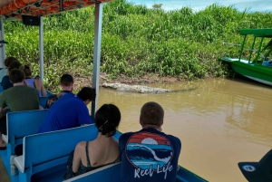 Vanuit San José: Nationaal Park Carara en Tárcoles Rivier Tour