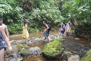 San Josesta: Jaco Beach Canyoning ja Canopy Tour - kokopäiväretki