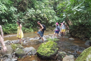 From San Jose: Full-Day Jaco Beach Canyoning and Canopy Tour
