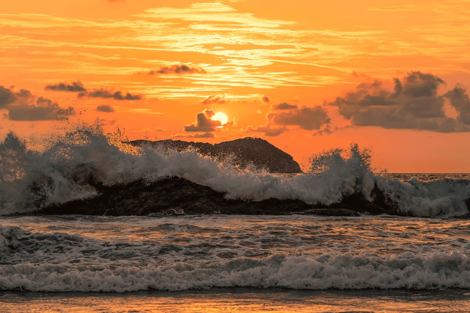 From San José: Full day Manuel Antonio National Park