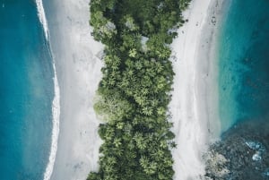 From San José: Full day Manuel Antonio National Park