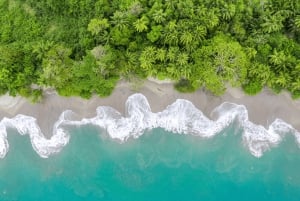 From San José: Full day Manuel Antonio National Park