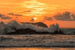 From San José: Full day Manuel Antonio National Park
