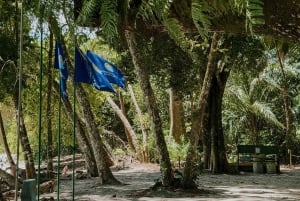 From San José: Full day Manuel Antonio National Park