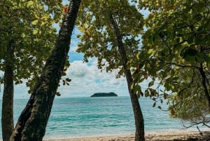 From San José: Full day Manuel Antonio National Park