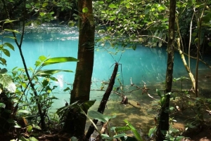 From San Jose: Guided Tour Celeste River