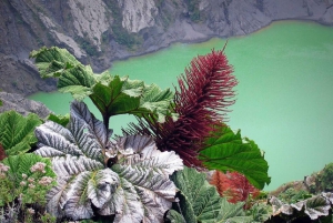 From San Jose: Irazu Volcano Crater Hike and Cartago Trip