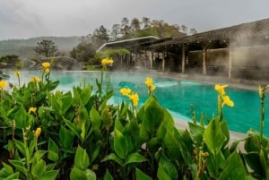 Van San Jose: Irazu-vulkaan en Hacienda Orosi-warmwaterbronnen