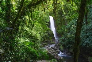 Von San Jose aus: La Paz Wasserfall Garten & Regenwald Tour