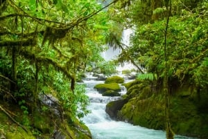 From San Jose: La Paz Waterfall Garden & Rainforest Tour