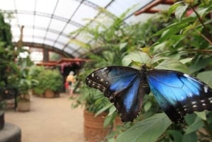 From San Jose: La Paz Waterfall Garden & Rainforest Tour