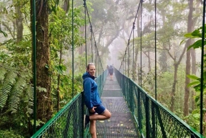 From San José: Monteverde Hanging Bridges and Afternoon off