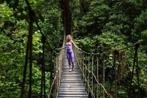 From San José: Monteverde Hanging Bridges and Afternoon off