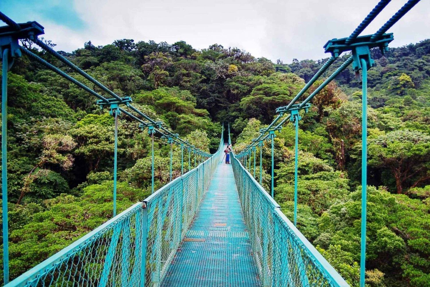 Fra San José: Dagstur til Monteverdes hengende broer
