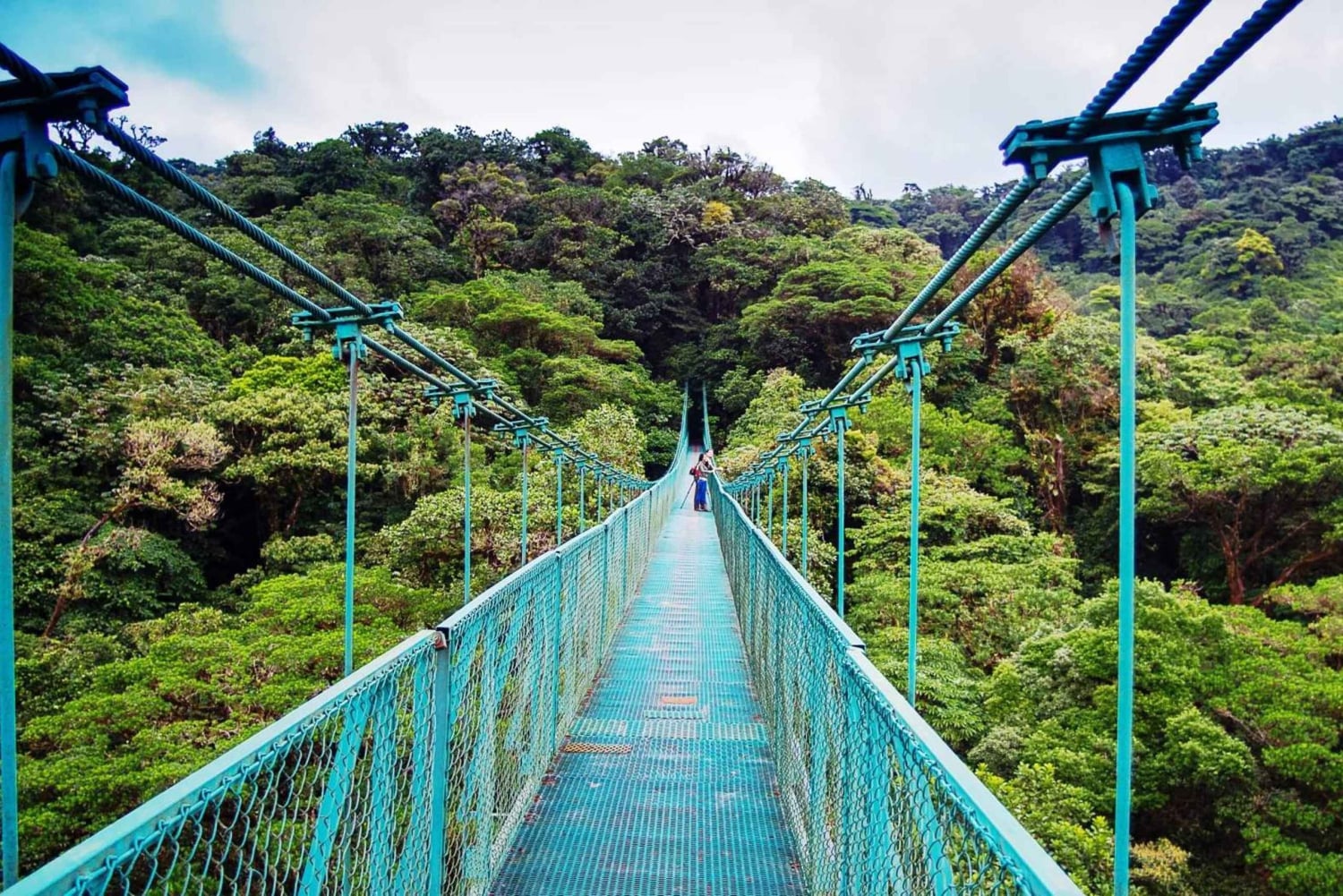 Fra San José: Dagstur til Monteverde Hanging Bridges