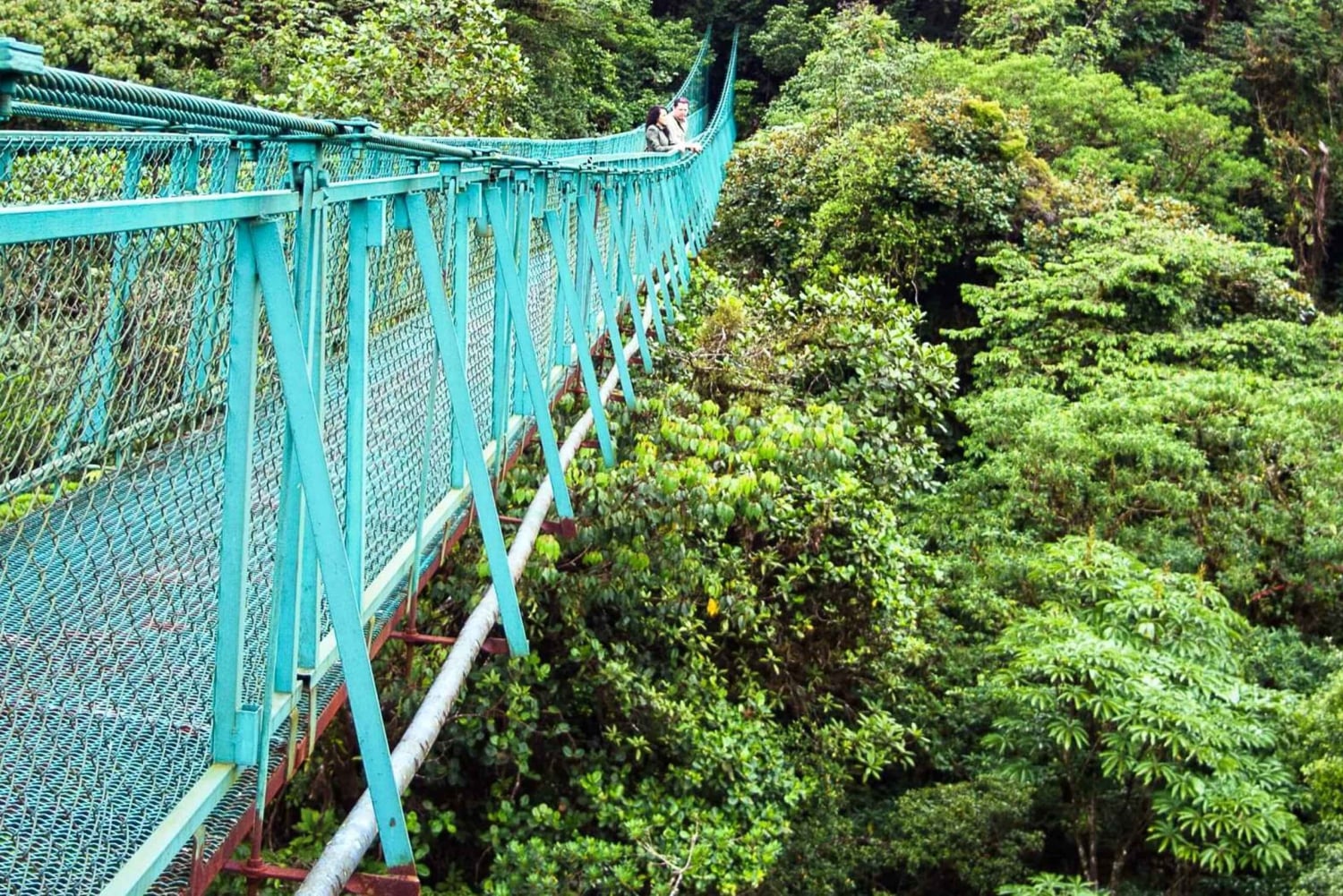 Fra San José: Dagstur til Monteverde Hanging Bridges