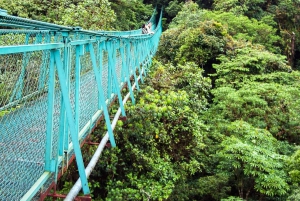 Fra San José: Dagstur til Monteverdes hengende broer