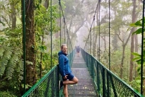 From San José: Monteverde Hanging Bridges & Santa Elena Tour