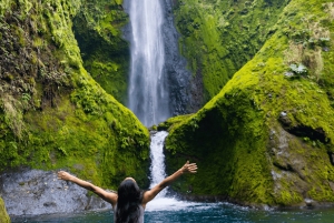 Z San Jose: Wspólny transfer w jedną stronę do La Fortuna