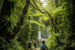 Z San Jose: Wspólny transfer w jedną stronę do La Fortuna