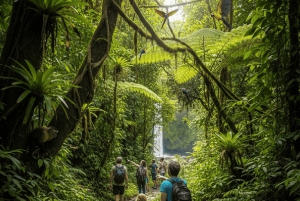 Från San Jose: Envägs delad transfer till La Fortuna