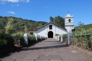 From San Jose: Orosi Valley & Lankester Garden Day Tour