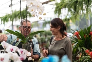 From San Jose: Orosi Valley & Lankester Garden Day Tour