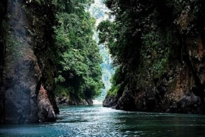 De San José: excursão de um dia para rafting no rio Pacuare