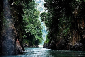 From San José: Pacuare River White Water Rafting Day Trip
