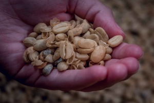Fra San José: Poas-vulkanen, Café Doka og La Paz-vandfaldene