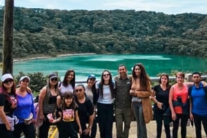 From San José: Poas Volcano Tour and Visit to Coffe Farm