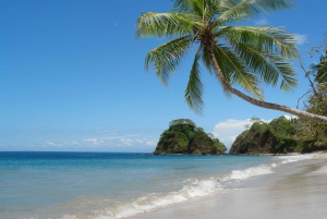 From San José: Punta Leona Hotel All-Access Day Pass
