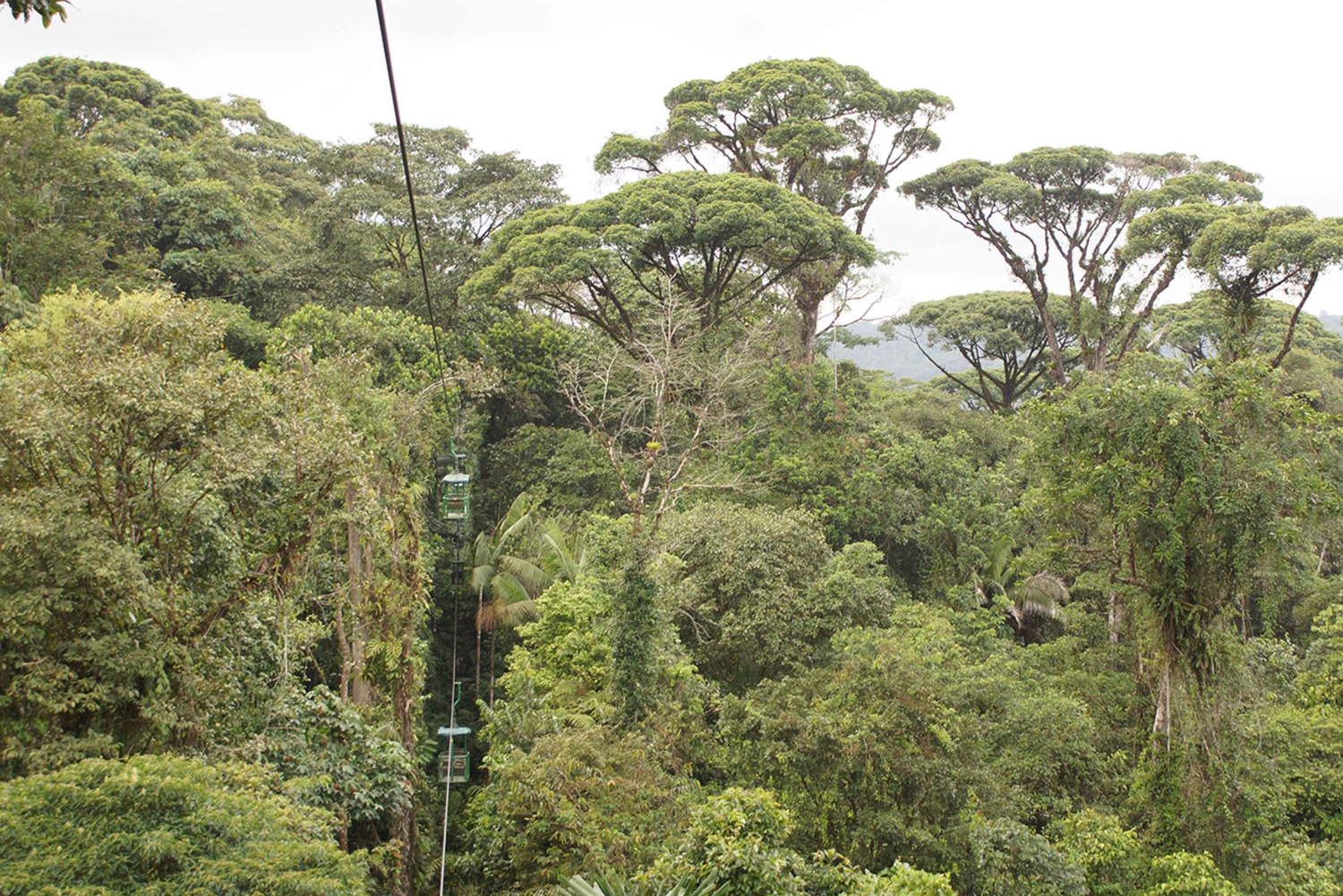 Fra San José: Regnskogstur med atlantisk lufttrikk