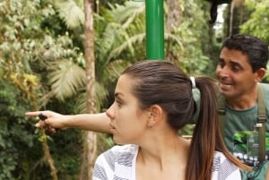 Fra San José: Regnskogstur med atlantisk lufttrikk