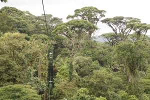 Fra San José: Regnskogstur med atlantisk lufttrikk