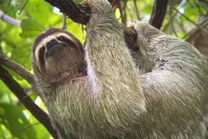 De San José ao Parque Nacional Manuel Antonio Tour guiado