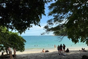 De San José ao Parque Nacional Manuel Antonio Tour guiado