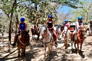Z Tamarindo: Zip-Line i rafting całodniowa przygoda