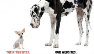 Fu Dog Media