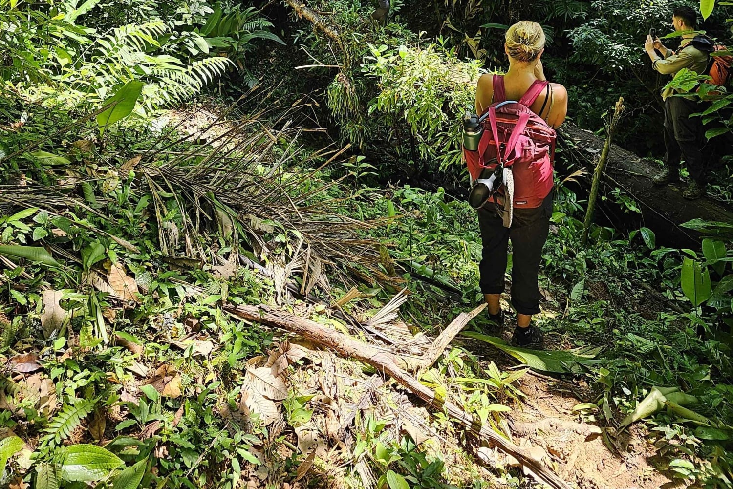コルコバードの一日アドベンチャー