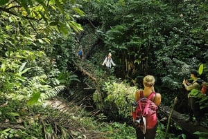 Full Day Adventure Corcovado