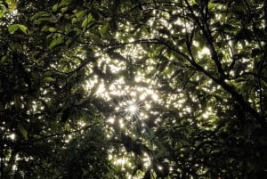 コルコバードの一日アドベンチャー