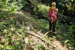 コルコバードの一日アドベンチャー
